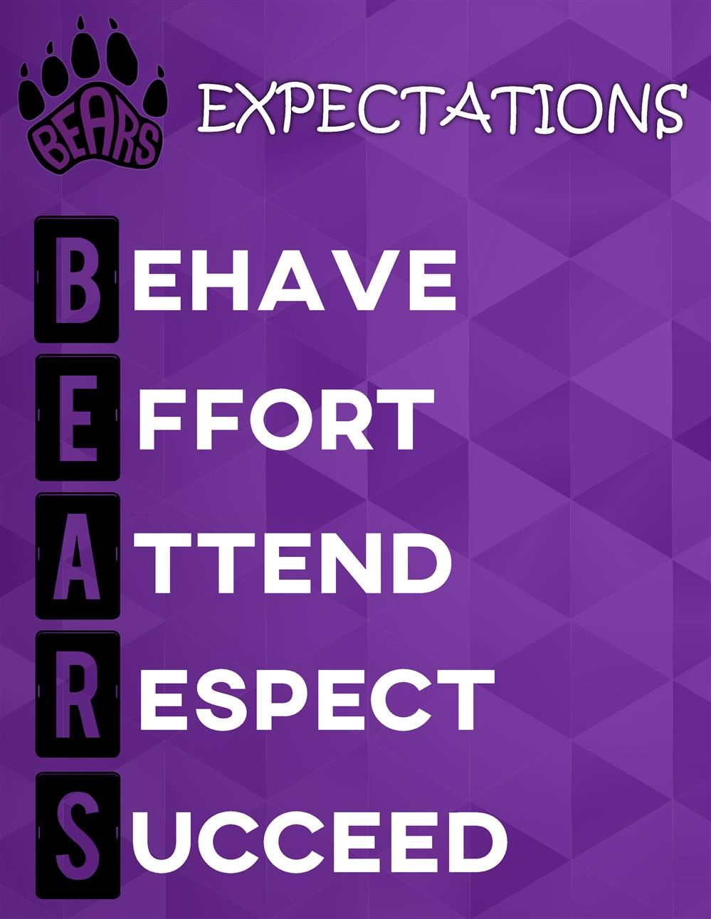 BEARS Expectations